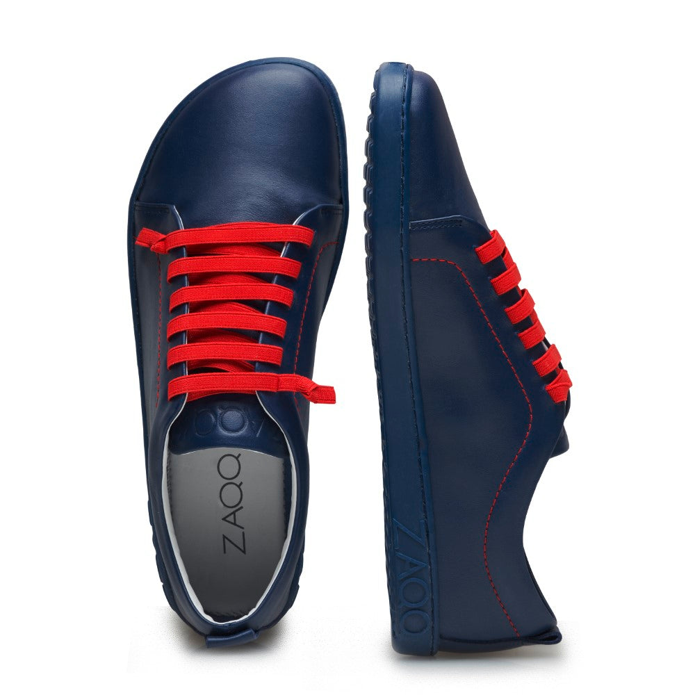 STIQ Navy